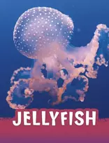 KNYGA Jaclyn Jaycox Medūza