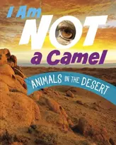 KNYGA Mari Bolte I Am Not a Camel