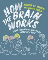 KNYGA Thomas How the Brain Works