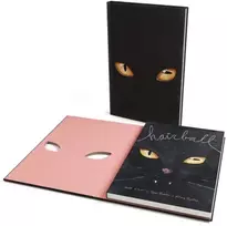 KNYGA Matt Kindt Hairball