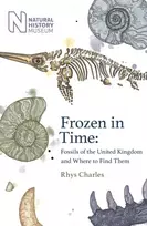 KNYGA Rhys Charles Frozen in Time