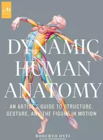KNYGA Roberto Osti Dynamic Human Anatomy