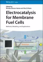 KNYGA Nicolas Alonso Vante Electrocatalysis for Membrane Fuel Cells