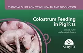KNYGA Bookshop Colostrum feeding in piglets. Essential guides on swine health and production