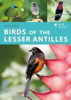 KNYGA Ryan Chenery Birds of the Lesser Antilles
