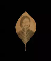 KNYGA Binh Danh: The Enigma of Belonging