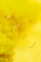 KNYGA Jean Thomas Tremblay Breathing Aesthetics