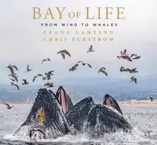 KNYGA Frans Lanting Bay of Life