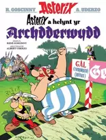 KNYGA Rene Goscinny Asterix a Helynt yr Archdderwydd