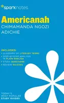 KNYGA Sparknotes Americanah by Chimamanda Ngozi Adichie