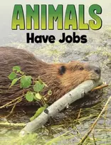 KNYGA Nadia Ali Animals Have Jobs