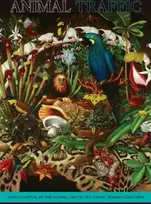 KNYGA Rosemary Claire Collard Animal Traffic