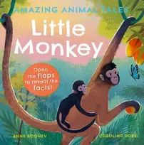 KNYGA Anne Rooney Amazing Animal Tales: Little Monkey