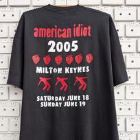 Vintage 2005 Green Day T shirt Milton Keynes Concert American Idiot Album Promo Skate Pop Punk Alternative Rock Band Tour Merch Tee Size XL XL