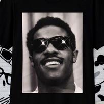 Double SungIass GIint, Stevie Wonder! ray, R&B, marvin gaye, otis redding, al green, parliament funk, sade, black history L