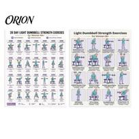 Safe Dumbbell Exercises For Seniors 2 Pcs 28 Days Light Strength Exercise Poster for Women 60+, Community Activity Room Guide Home Gym Fitness 2pcs
