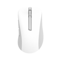 ASUS Wireless Mouse | MD102 | Mouse | 2.4 GHz, Bluetooth | White