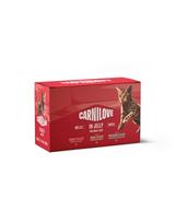 CARNILOVE Cat Pouch Jelly Multipack 12x85 g rinkinys filetu želėje suaugusiems katėms
