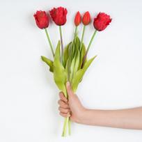5-Head Wavy Soft Rubber Tulip Artificial Flower, High-End Home Holiday Decoration Tulip Artificial Flower raudona