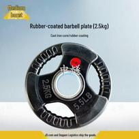 ZhongSui Coated Cast Iron Barbell Plate