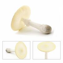 Vegetable Model Fungus Figurines Matsutake Oyste Fungus Model Simulation Mushroom  Photograph Props Amanita4
