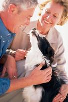 PetSafe ultragarsinis nuotolinio valdymo dresavimo pultelis šunims ir katėms, 1 vnt.