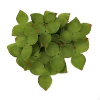 100 Pieces Artificial Green Leaves Bulk Greenery Fake for DIY Wedding