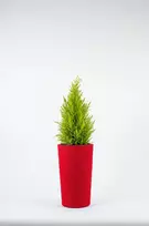 „Adoni“ raudonas medvilninis vazonas su įdėklu, 36 cm – rankų darbo (adoni-ba-red-36)