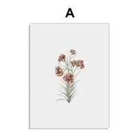 Vintažiniai laukinių augalų plakatai, botaniniai gėlių atspaudai, tapyba ant drobės, modernūs sienų meno paveikslai svetainei, namų dekoravimui 21x30cm No Framed