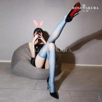 1D Woman Ultra Thin Transparent Thigh High Long Stockings Oil Shinny Retro Medias Women Nylon Shine Office Lady Club Dance One Size