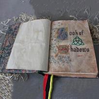 Šešėlių knyga Žalias viršelis Įrištas Burtai Įrašai Spellbook Retro Dovanos 1PC