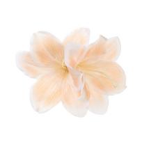 Barrettes Simulation Flower Duckbill Clip Korean Style Bohemia Hairpins  Ladies/Girls oranžinė
