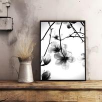 Juodai Baltas Augalo Gėlės Meno Plakatas Lipnus Sienų Menas Spausdinimas Vandeniui Atsparus Namų Svetainės Miegamojo Baro Prieškambario Estetinis Dekoras 21cm×30cm NoFrame