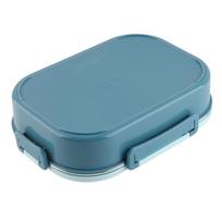 Includes Soup Bowl Stainless Steel Lunch Box 4-Compartment Food Storage Container  Office Use mėlyna