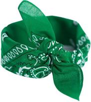 Art Of Polo Bandana Classic Rebel