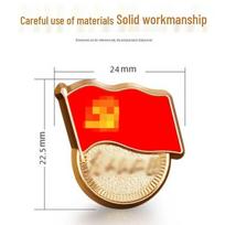 Epoxy Coated Zinc Alloy Party Emblem Pin