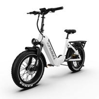 Maxturn Verve Elektrinis dviratis suaugusiems 250W variklis 48V 13Ah baterija 20 colių visureigio padangos Elektrinis dviratis