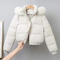 Short Coats Women Parkas Hooded Fur Collar Jackets Thick Warm Y2k Streetwear Elegant Jacket Work Coat Autumn Winter M balta