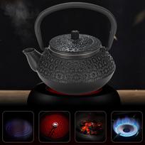 Raindrop Cast Iron Teapot 0.3L Loose Leaf Tea Kettle Japanese Tetsubin Teapot  For Tea Rooms