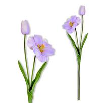 Gałązka - tulipan piankowy liliowy 53 cm