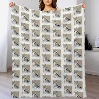 Blue Merle Cardigan Welsh Corgi Throw Blanket Stylish Decor Blanket Gift for Friends Roommate Size: 75*100cm, Weight: 230 GSM