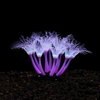 Delicate Mini Coral Terrarium Coral Clump Naural Appearance Aquarium Decor 1 violetinė