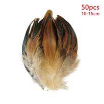 10-15cm fazano plunksnos natūralus uodegos žiedas Ringneck rankdarbiams ilgos didmeninėmis 50vnt Plumas paveikslėliai salonas Velykų dekoracija žąsies apdaila 10-15cm black