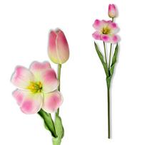 Gałązka - tulipan piankowy różowy, cieniowany 53 cm