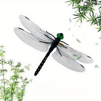 Adult Dragonfly Model Kit, Vibrant Dragonfly Mosquito Repeller, For Indoor and Outdoor Decoration, Durable Plastic Structure