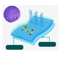 10 PCS Purple Blue Scented Urinal Mat Silicone Anti Splash Urinal Screens  Restroom Bathroom violetinė