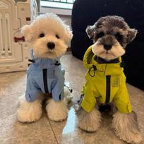 Waterproof Dog Jacket for Schnauzer Bichon Teddy Shiba Inu West Highland Pet Raincoat Dog Clothes for Small Dogs Pet Clothes (Green,XS  0-1KG) žalia