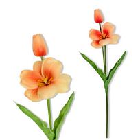 Gałązka - tulipan piankowy morelowy 53 cm
