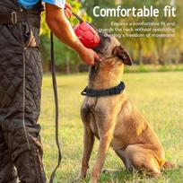 Thick Nylon Webbing Dog Strap Built-in Hand Grip Large Pet Neck Belt  Medium Large Pet Activity L