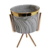 1 Pc Exquisite Gold-plated Iron Fleshy Flower Pot - A Great Decorative Pot for Flowers, Cacti and Succulents Pack of 1 gray